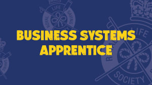 Business Systems Apprentice