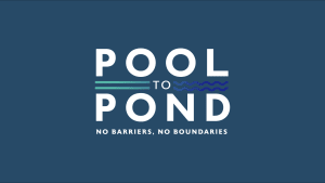 Pool to Pond
